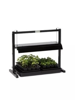 Compact Tabletop SunLite® Garden