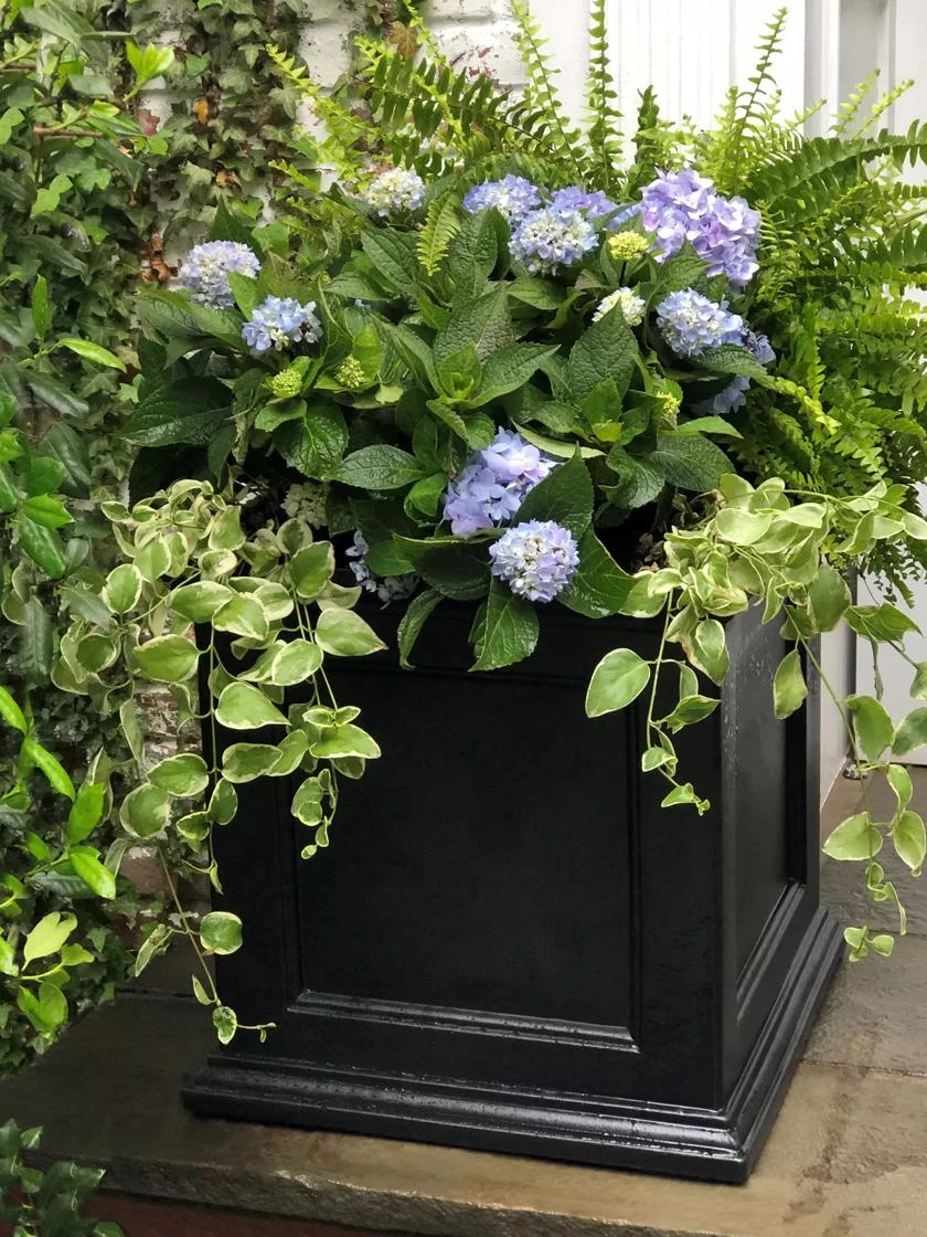 Fairfield Self-Watering Square Planter, 20โ X 20โ - Image 4