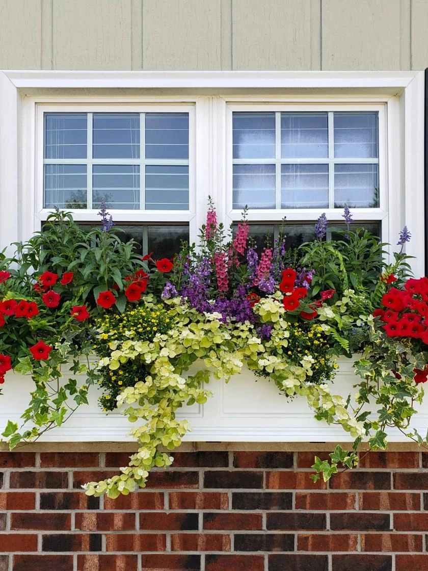 Fairfield Self-Watering Window Box, 4’ - Image 2