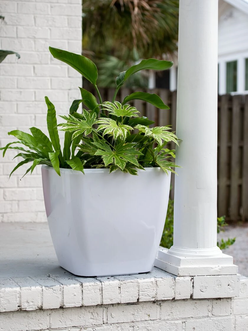 Viva Square Self-Watering Rolling Planter, 20" Diameter, Set Of 2 - Image 5