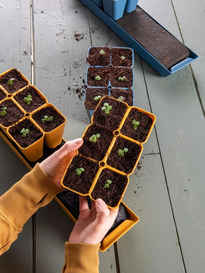 Gardener's BestĀ® XL Seed Starting Kit - Image 9