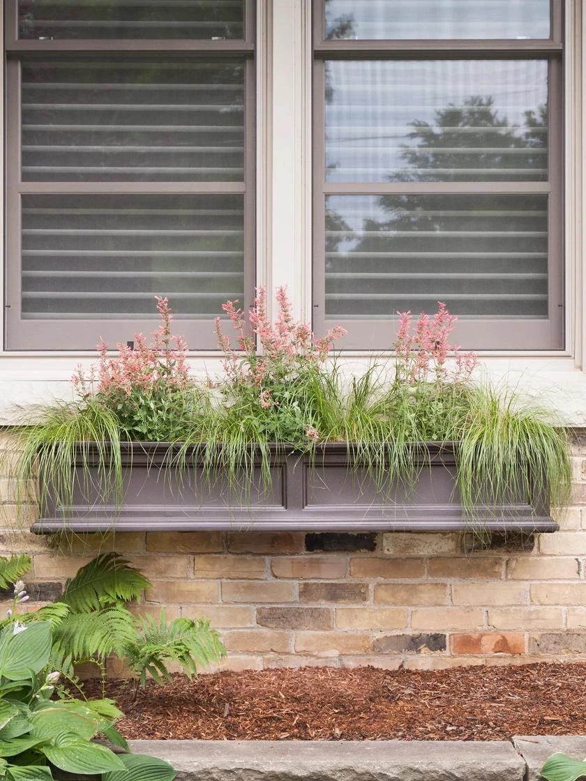Fairfield Self-Watering Window Box, 5โ