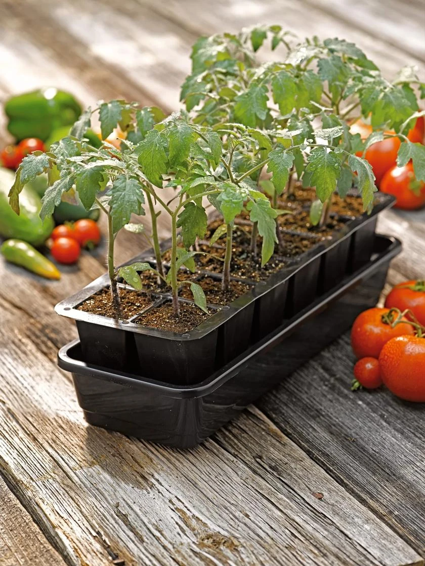 Growease Seed Starter Kit - Image 3