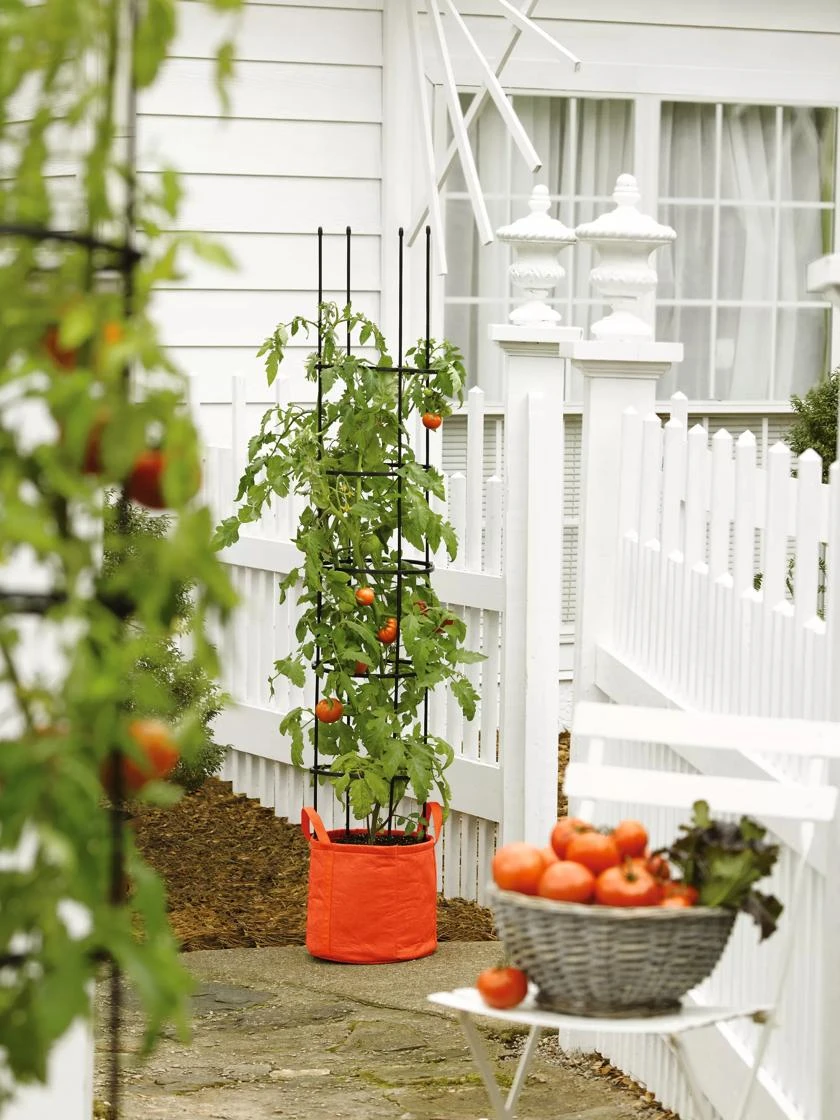 Gardener's Best® Tomato Grow Bag Set - Image 2