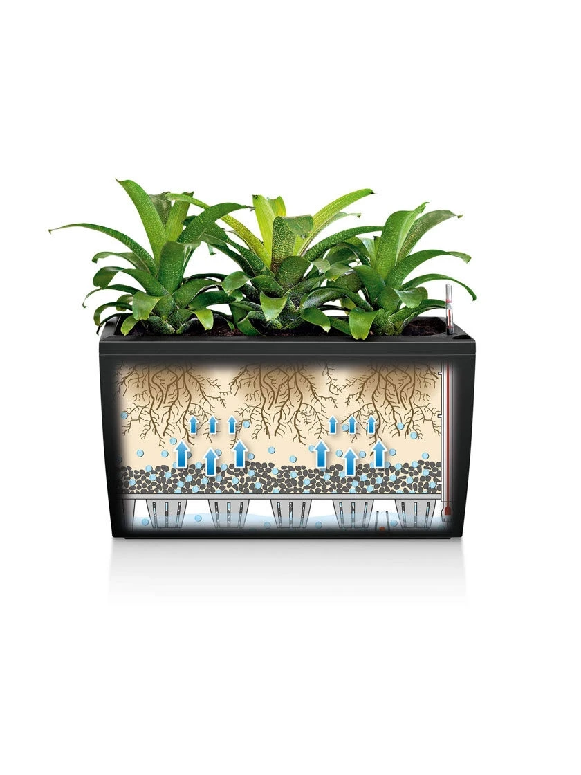 Lechuza® Cararo Rectangular Indoor Planter With Casters - Image 2