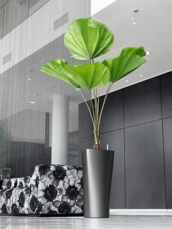 Lechuza® Delta Premium Self-Watering Planters - Image 6