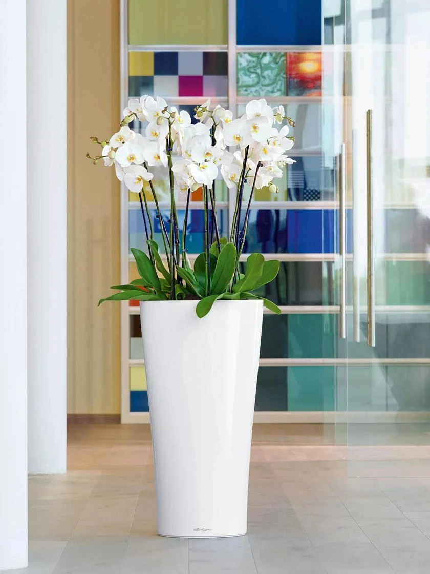 Lechuza® Delta Premium Self-Watering Planters