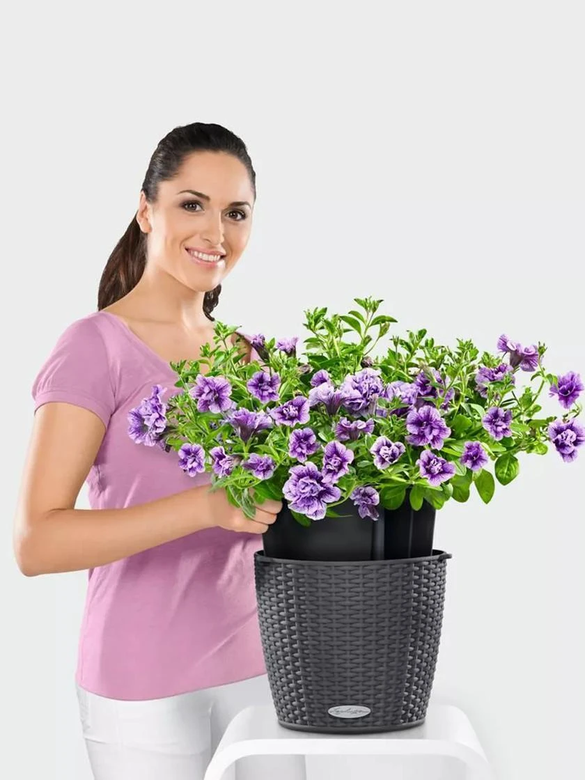 Lechuza® Nido Cottage Wicker Hanging Planter - Image 3