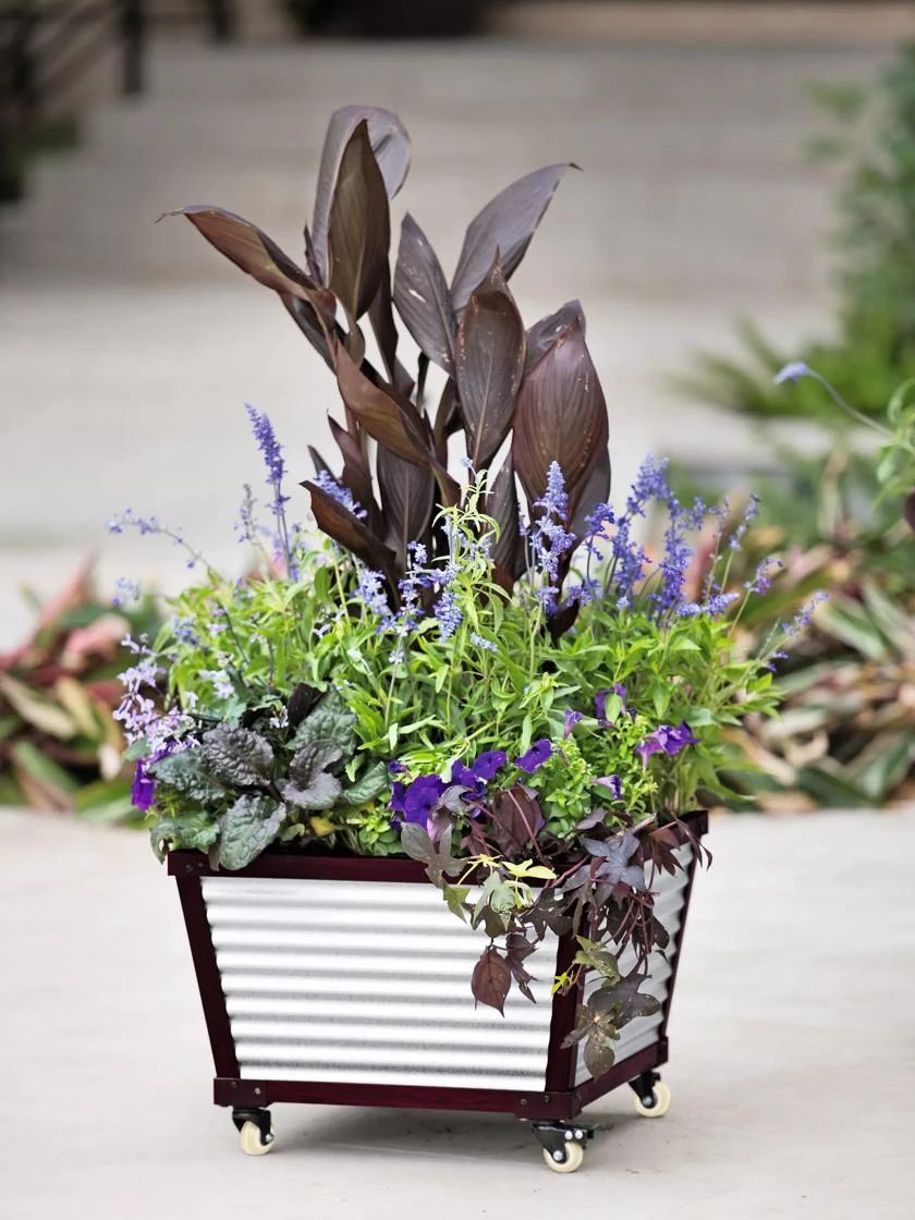 Galvanized Self-Watering Planters - Image 2