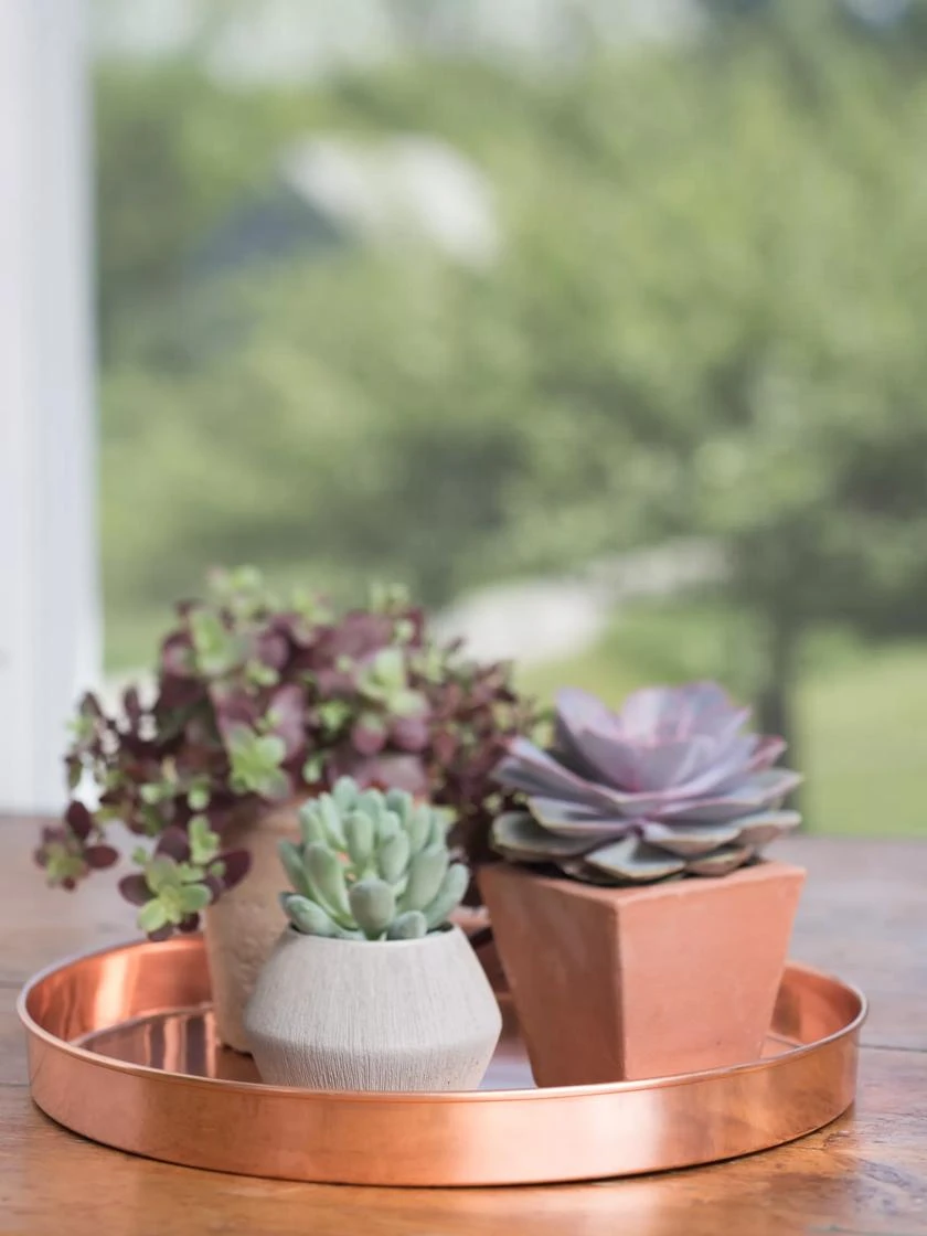 Large Round Copper Plant Tray, 14" - Image 5