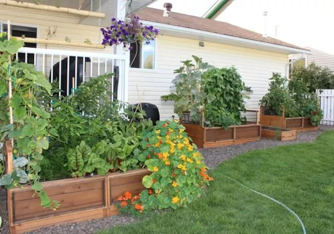 OLT Raised Cedar Garden Bed, 3' X 6' - Image 4