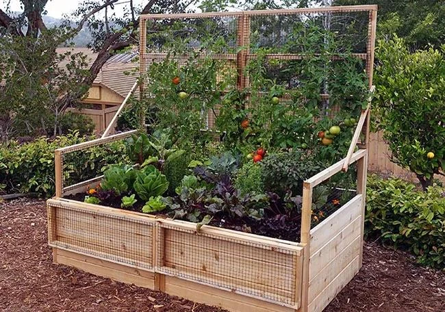 Garden In A Box With Trellis/Lid Option, 3' X 6' - Image 2