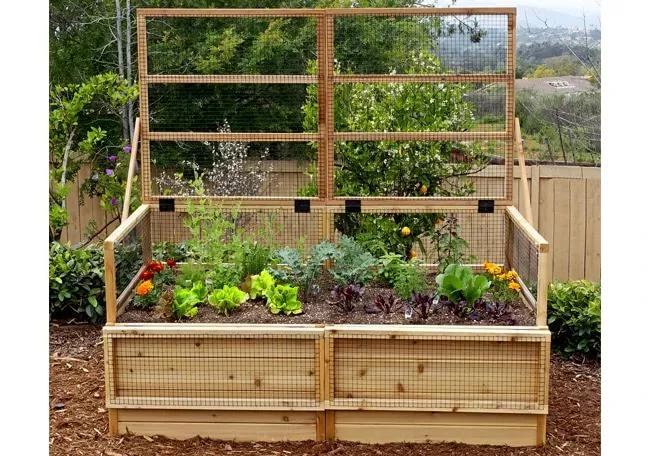 Garden In A Box With Trellis/Lid Option, 3' X 6' - Image 4