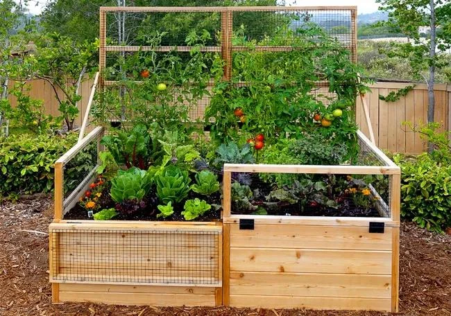 Garden In A Box With Trellis/Lid Option, 3' X 6' - Image 3