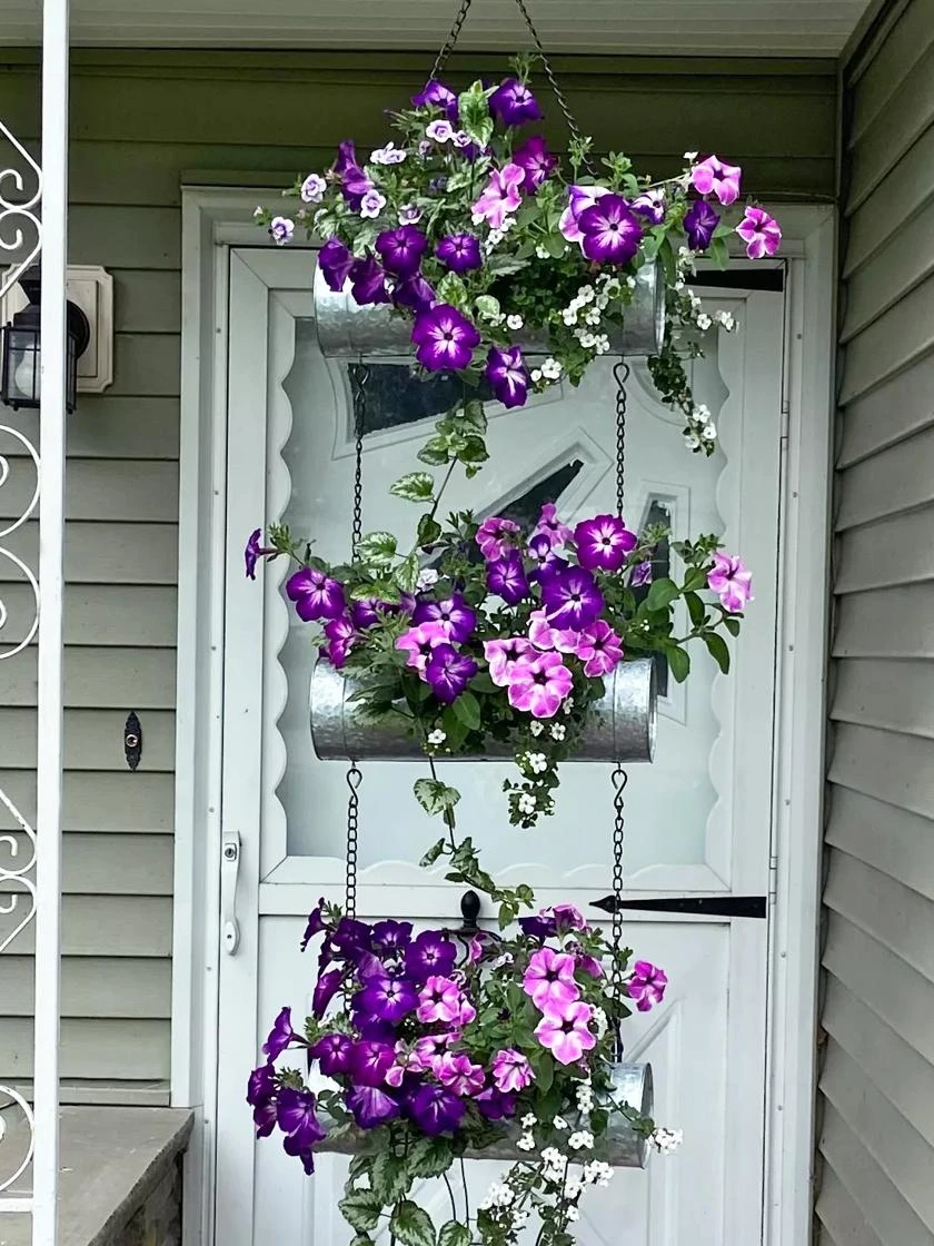 Galvanized Hanging Triple Planter - Image 5