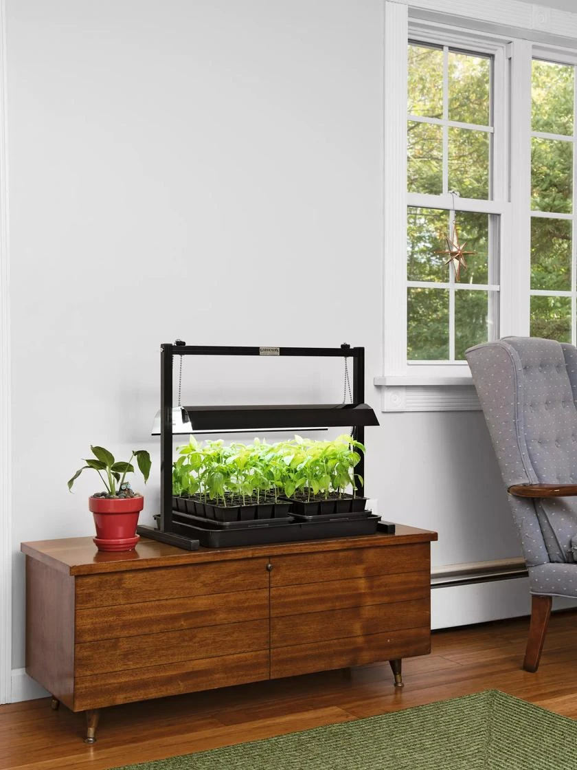 LED SunLite® Compact Tabletop Garden