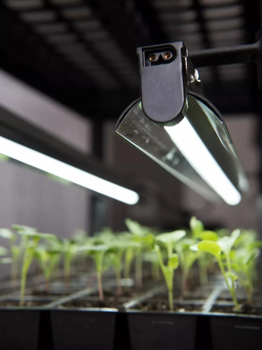 LED Stack-n-Grow Lights - Base Unit - Image 2