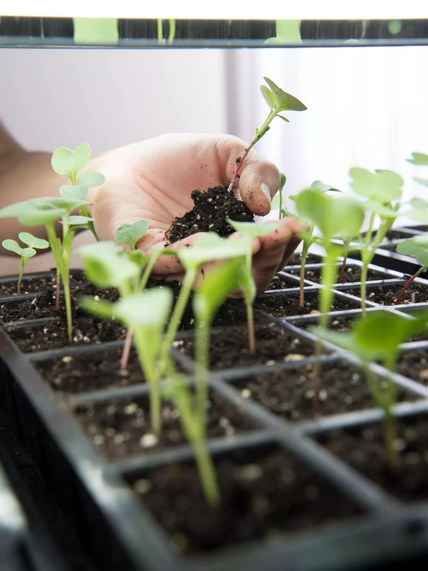 LED Stack-n-Grow Lights - Base Unit - Image 4