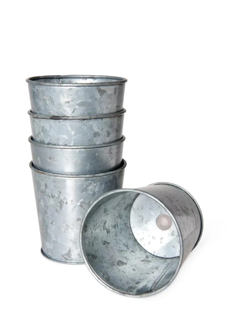 Galvanized Planting Cups, Set Of 5 - Image 2