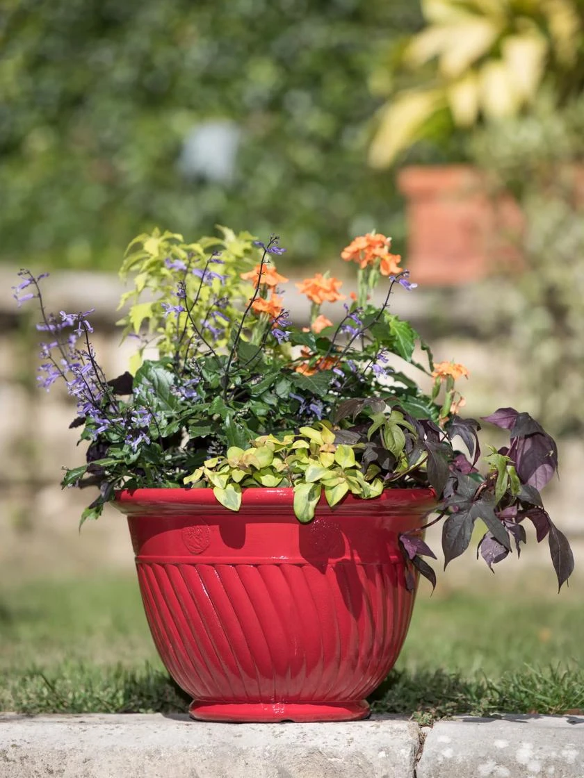 Mazzano Self-Watering Planters - Image 6