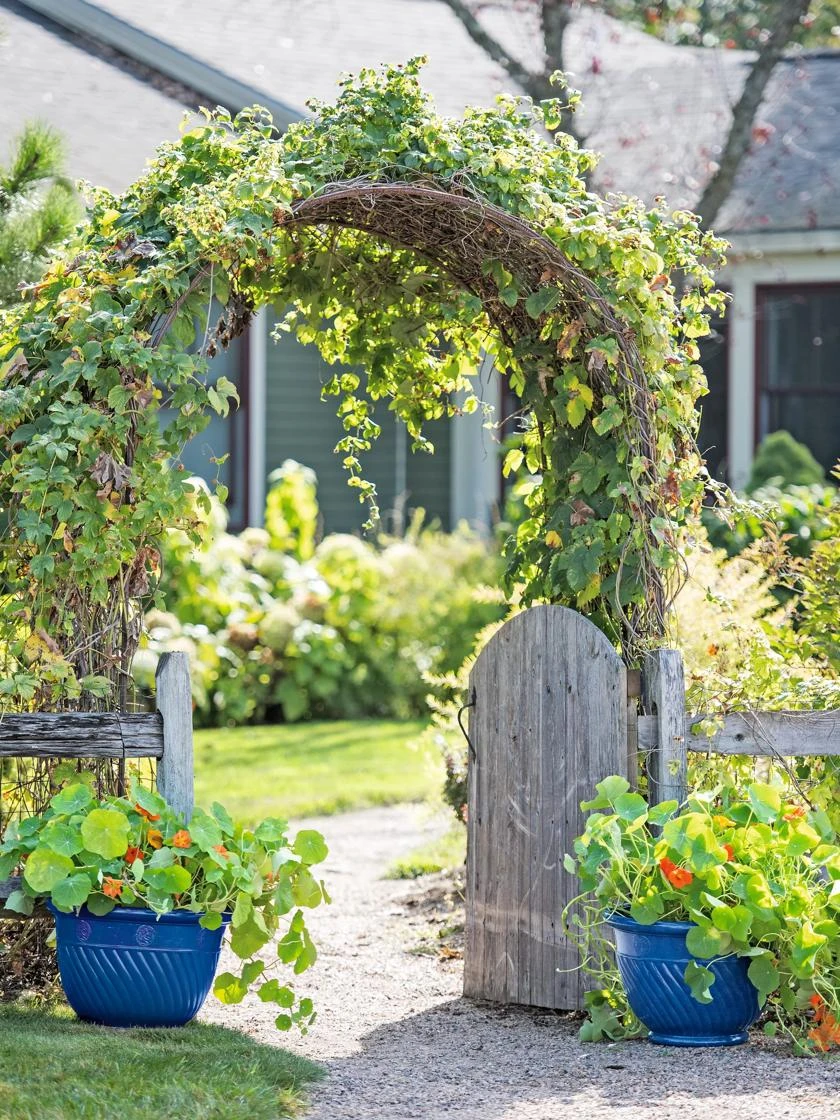 Mazzano Self-Watering Planters - Image 2