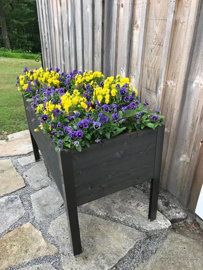 Eco-Stained Elevated Planter Box, 2'x4' - Image 3