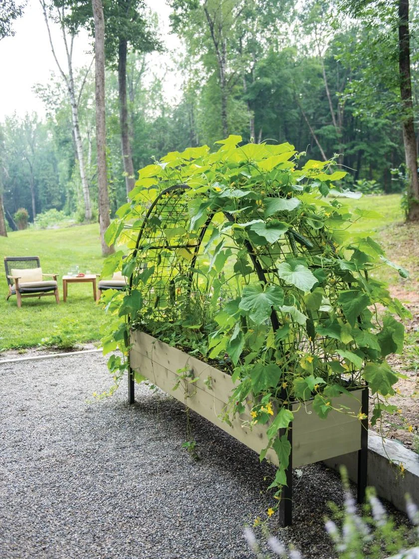 Eco-Stained Elevated Planter Box, 2'x8' - Image 6