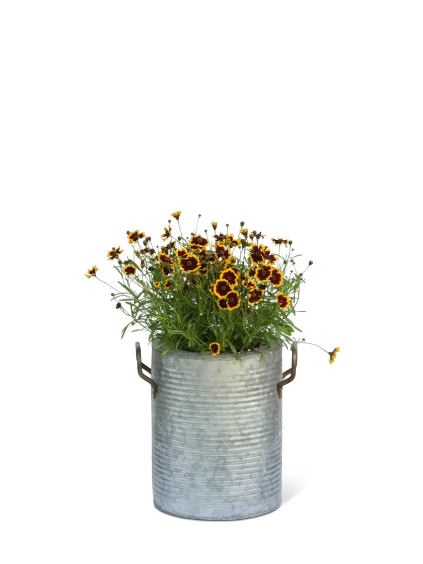 Galvanized Rim Planters - Image 5