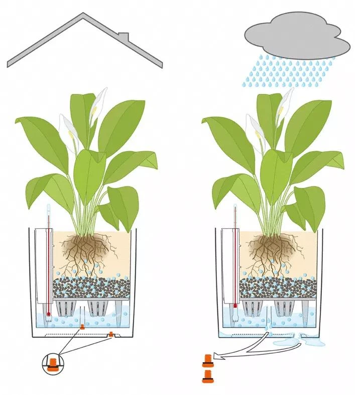 Lechuza® Cube Premium Planters - Image 5