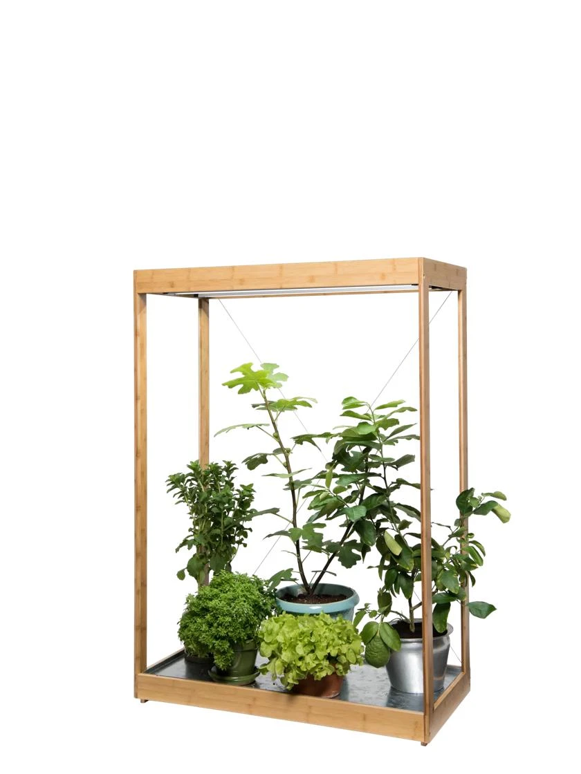 Tall Bamboo LED Grow Light Garden - Image 5