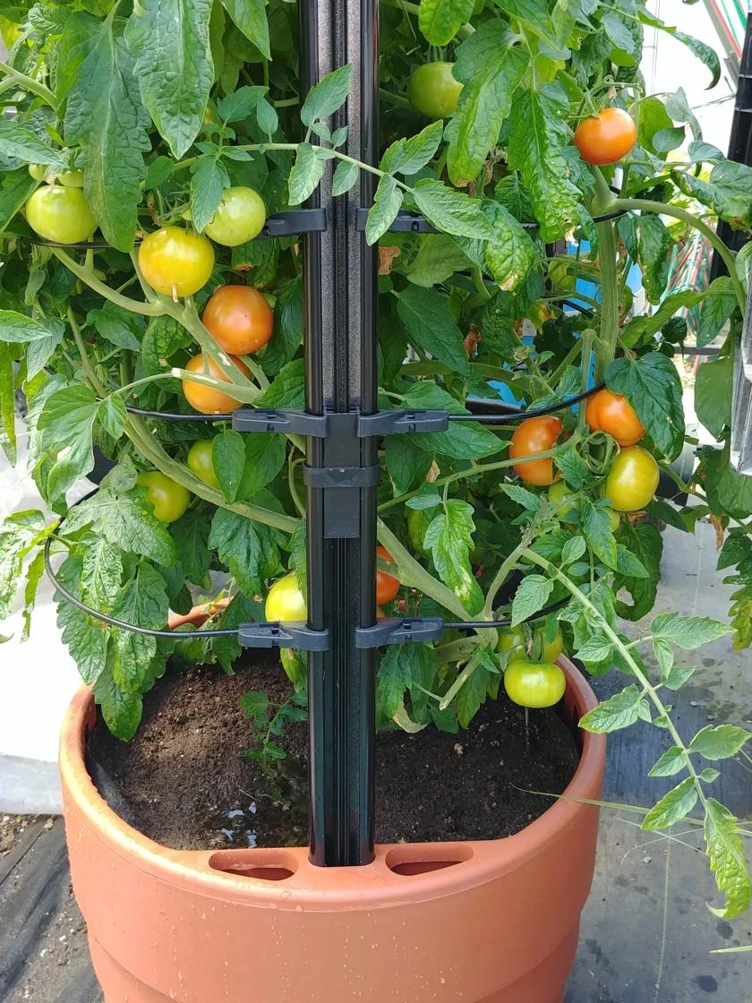 Gardener’s Victory Self-Watering Planter With Support System - Image 4