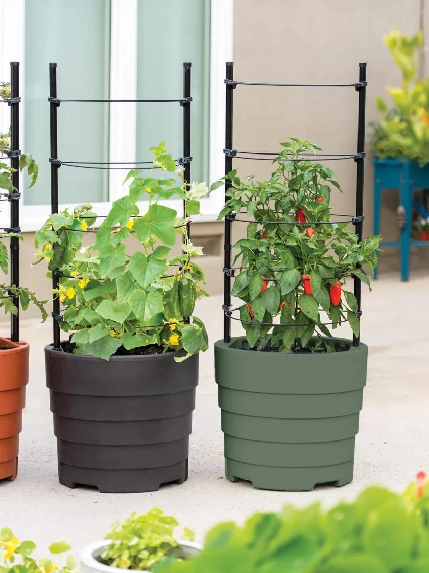 Gardener’s Victory Self-Watering Planter With Support System - Image 2