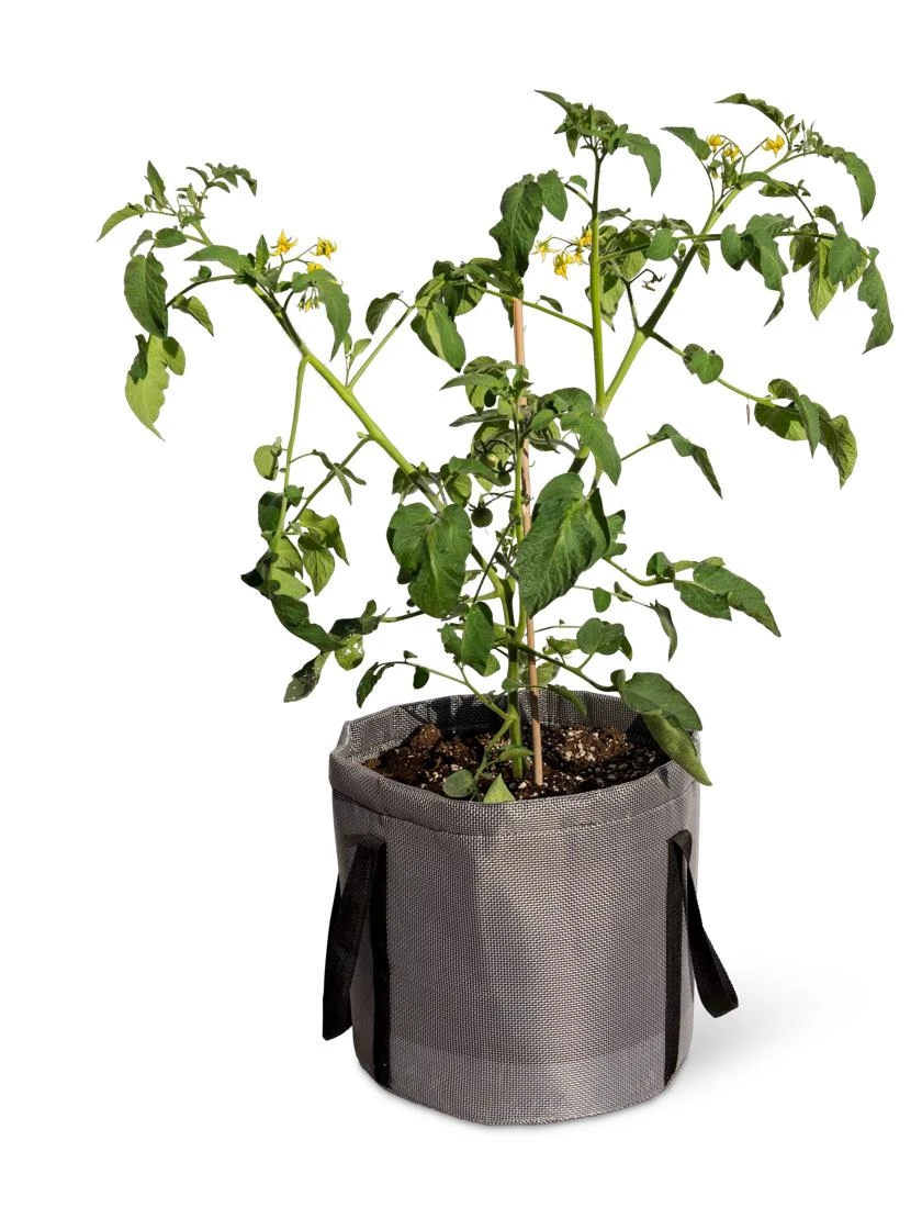 Reinforced Colorful Grow Bags - Image 6