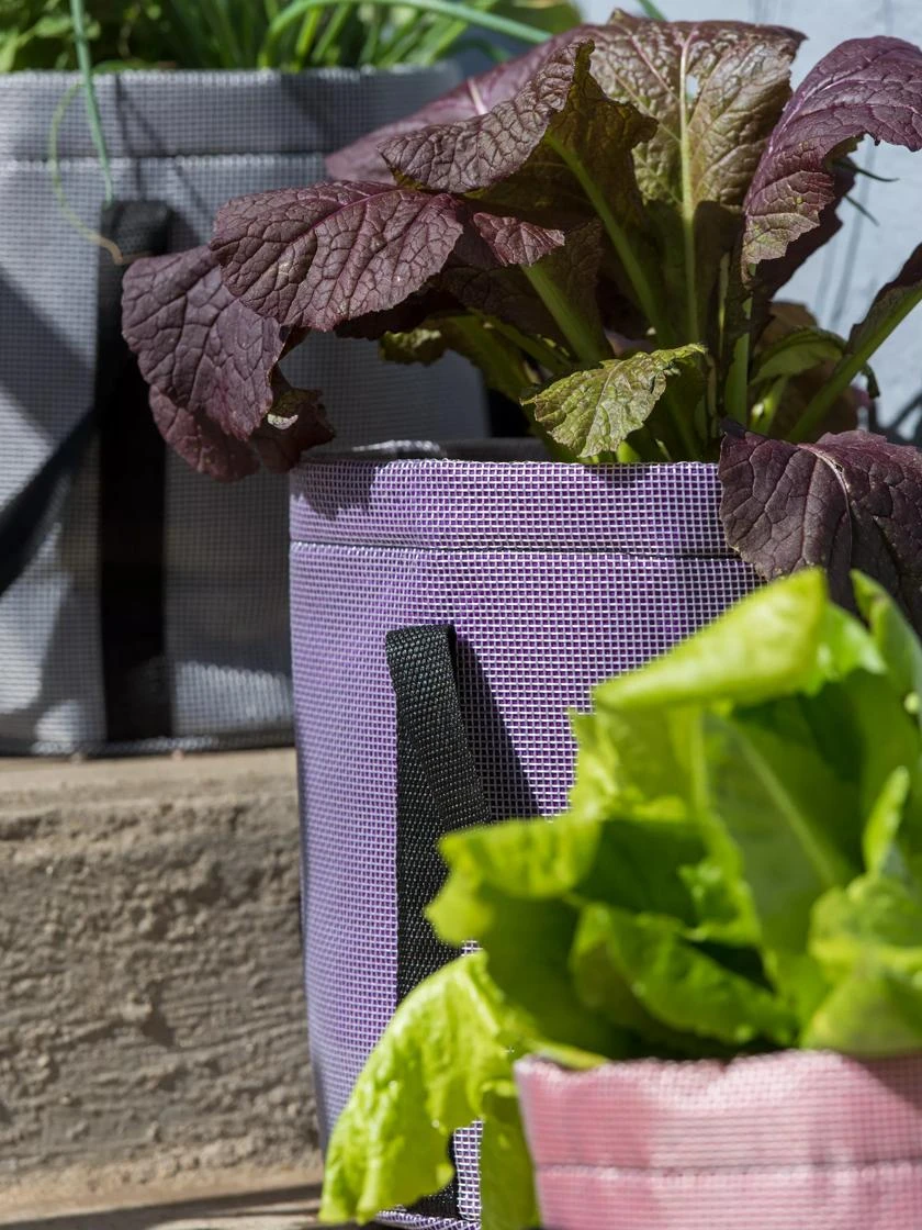 Reinforced Colorful Grow Bags - Image 4