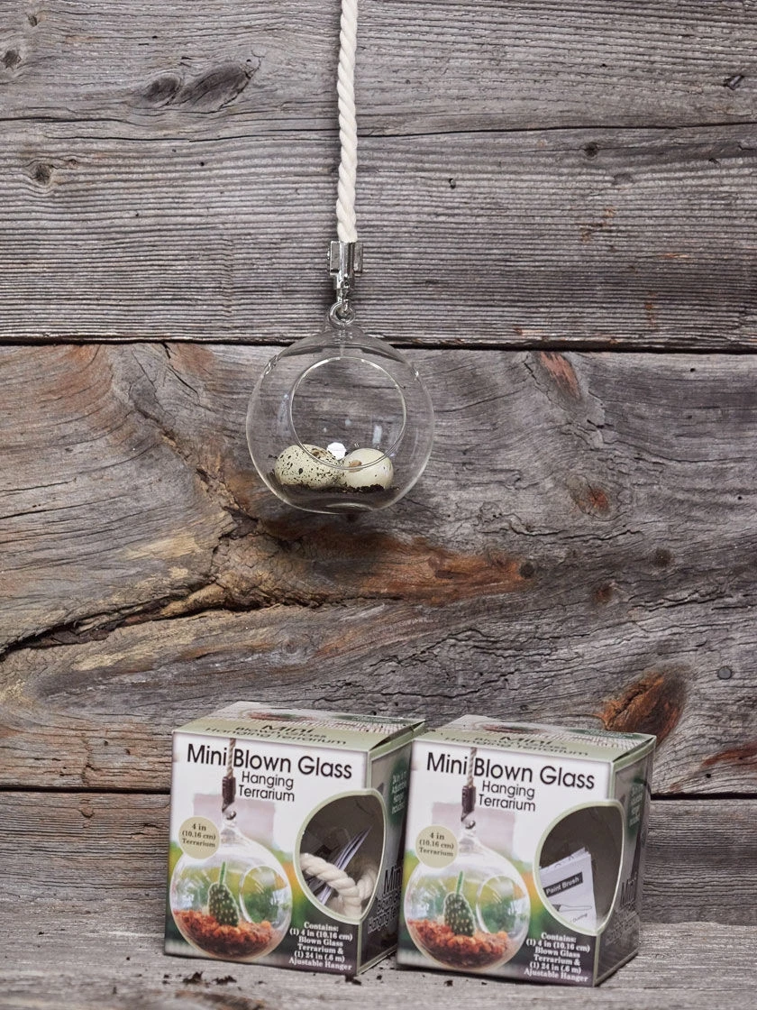 Mini Blown-Glass Hanging Terrarium, Set Of 2 - Image 3
