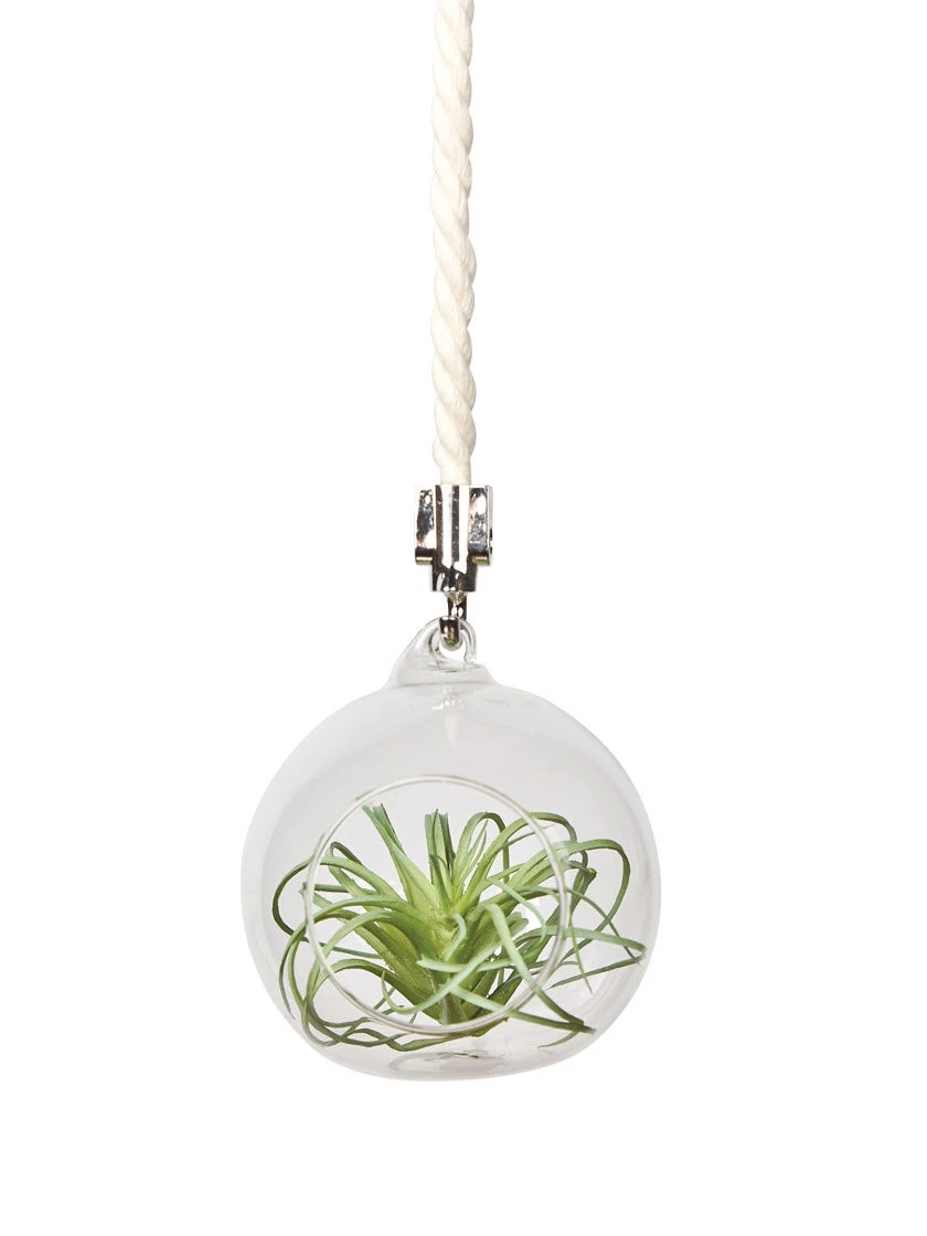 Mini Blown-Glass Hanging Terrarium, Set Of 2 - Image 2