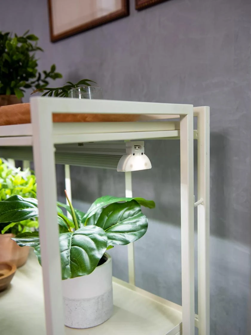 Oslo 2-Tier LED Grow Light Garden, 2 Fixtures - Image 4