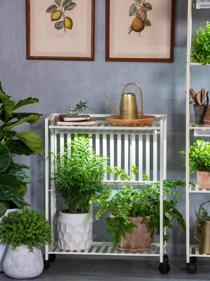 Oslo 2-Tier LED Grow Light Garden, 2 Fixtures - Image 7