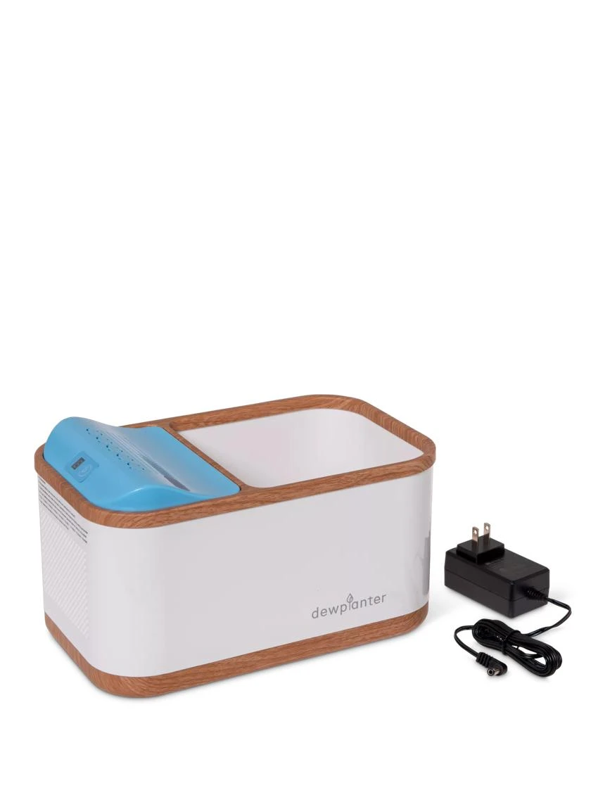 Dewplanter - Image 5