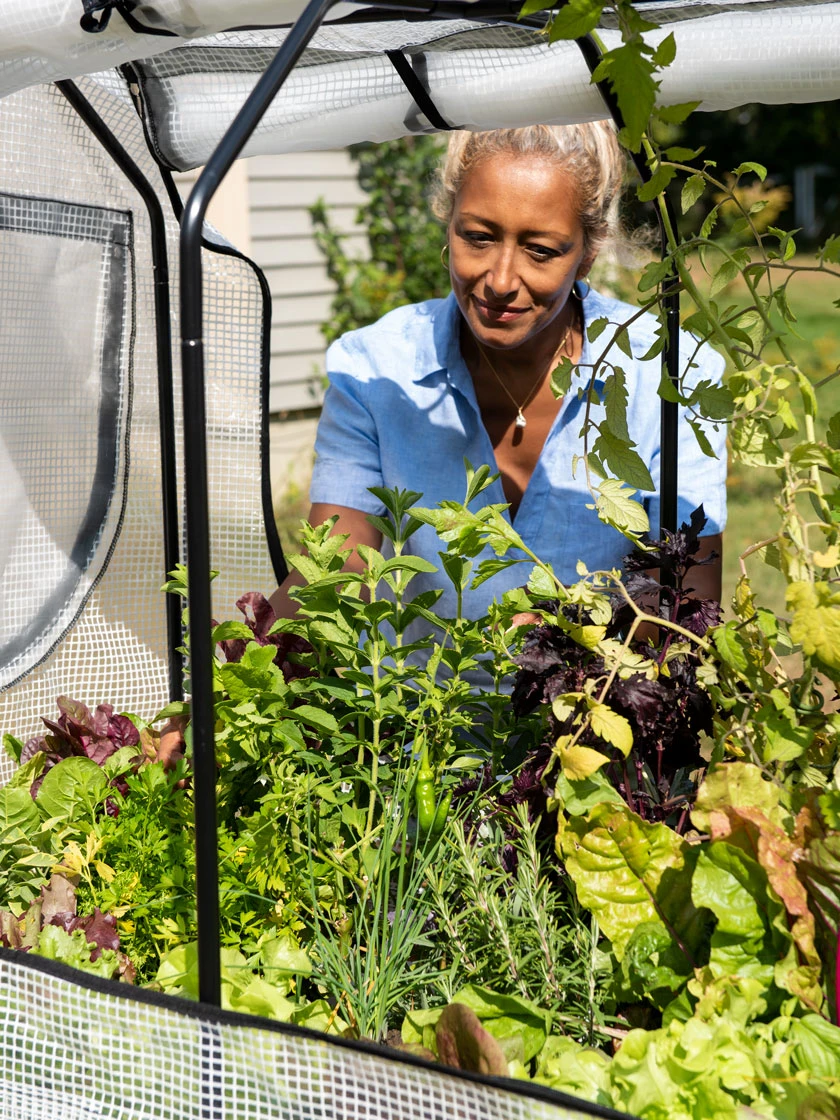 VegTrug®Patio Garden Greenhouse Cover Kit - Image 3