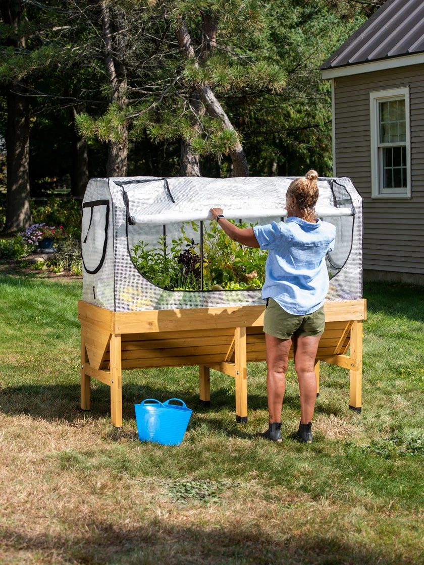 VegTrug®Patio Garden Greenhouse Cover Kit - Image 5