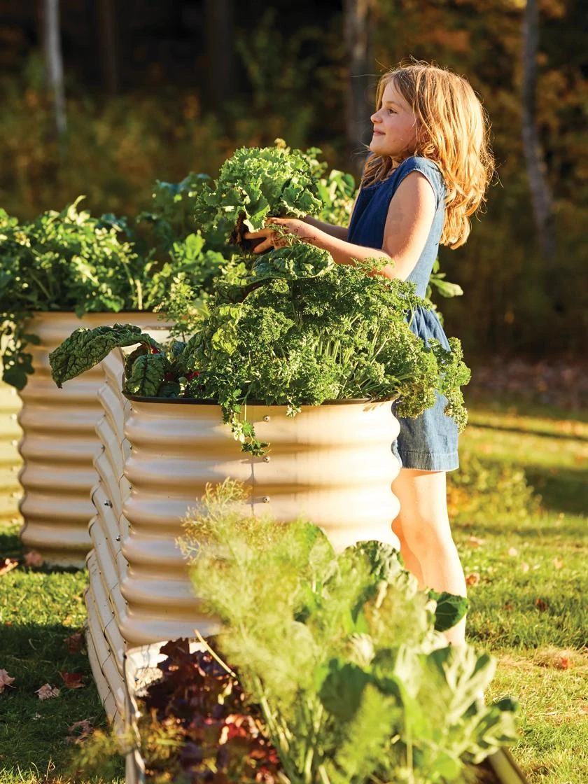 Birdies⢠Modular Metal Raised Bed, Tall - Image 5