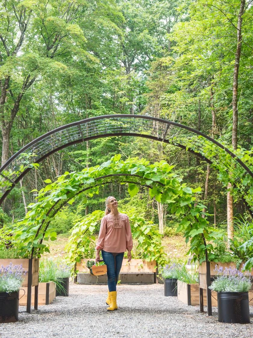 2โ X 8โ Arch Trellis For Planter Boxes - Image 4