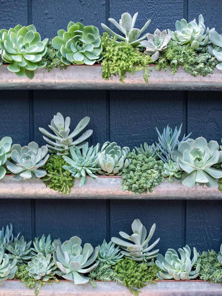 3-Tier Vertical Wall Planter, 3' - Image 4