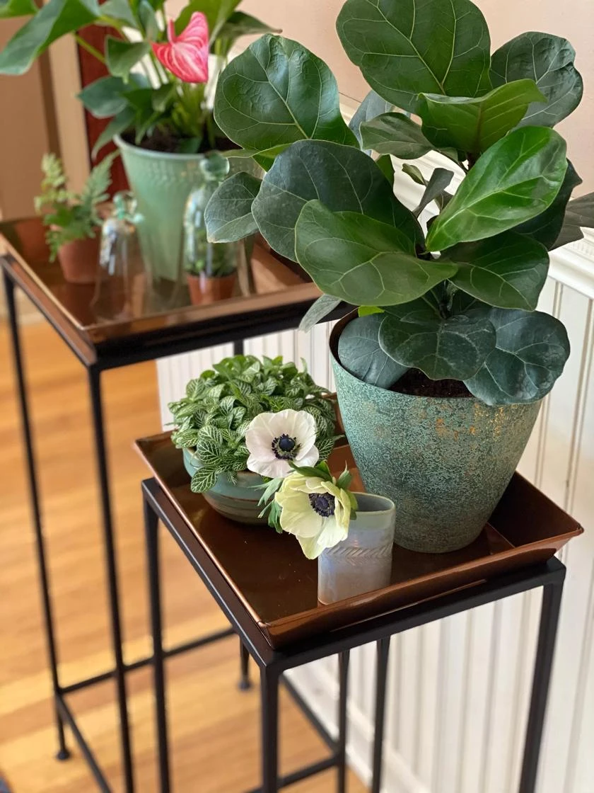 Square Nesting Plant Stands With Trays, Set Of 2 - Image 3