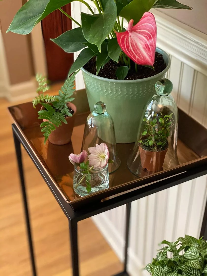 Square Nesting Plant Stands With Trays, Set Of 2 - Image 2