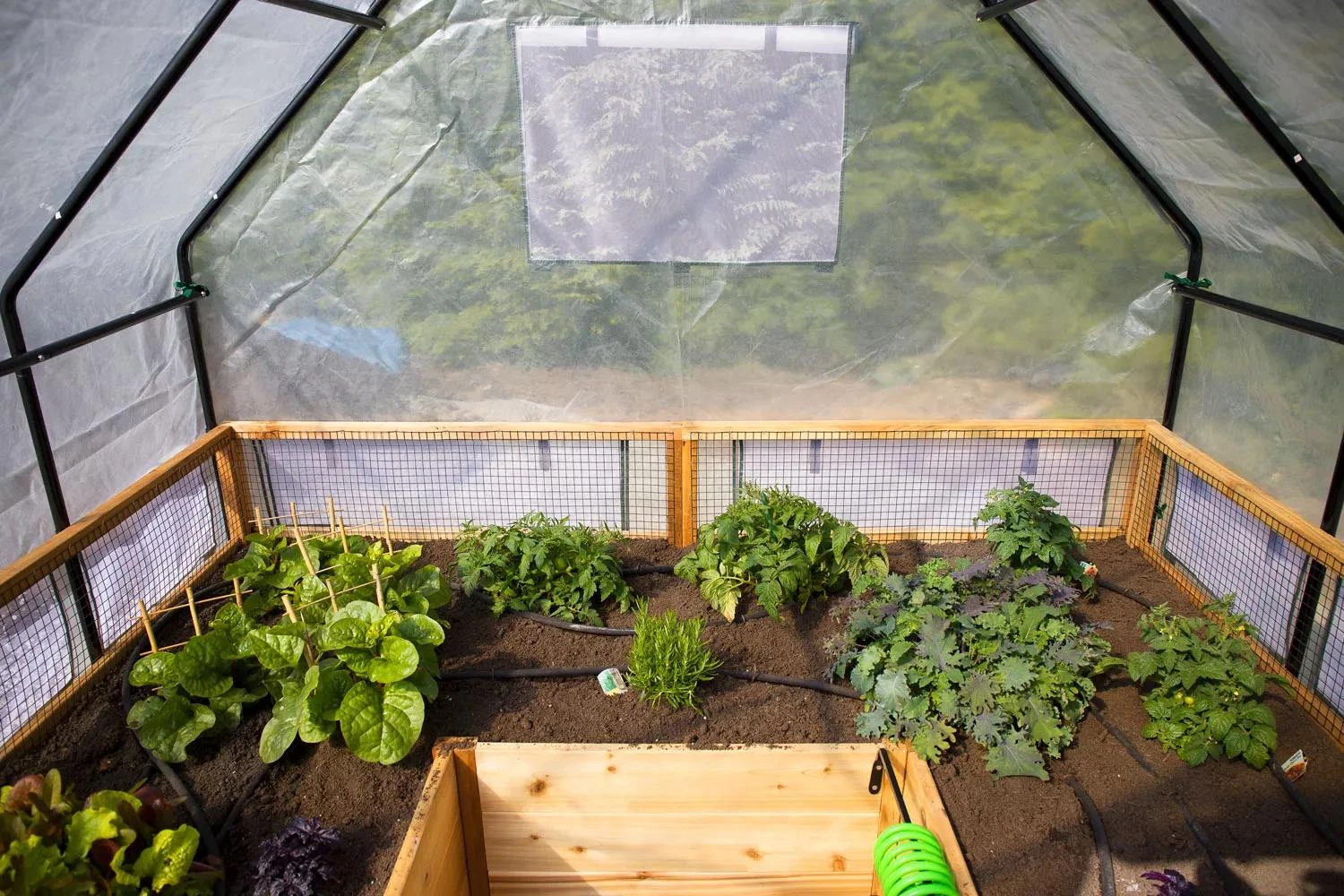 Garden In A Box With Greenhouse, 8' X 8' - Image 4