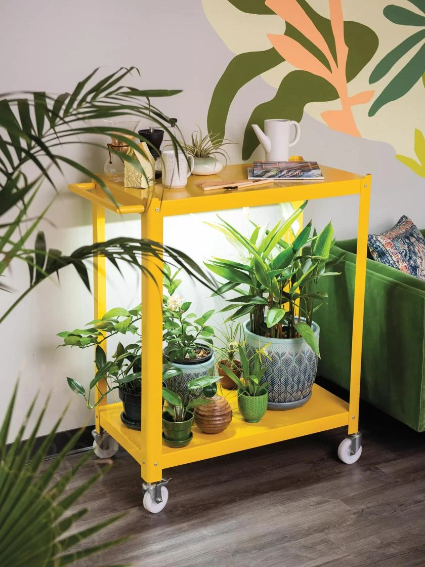 Mobile LED Grow Light Cart