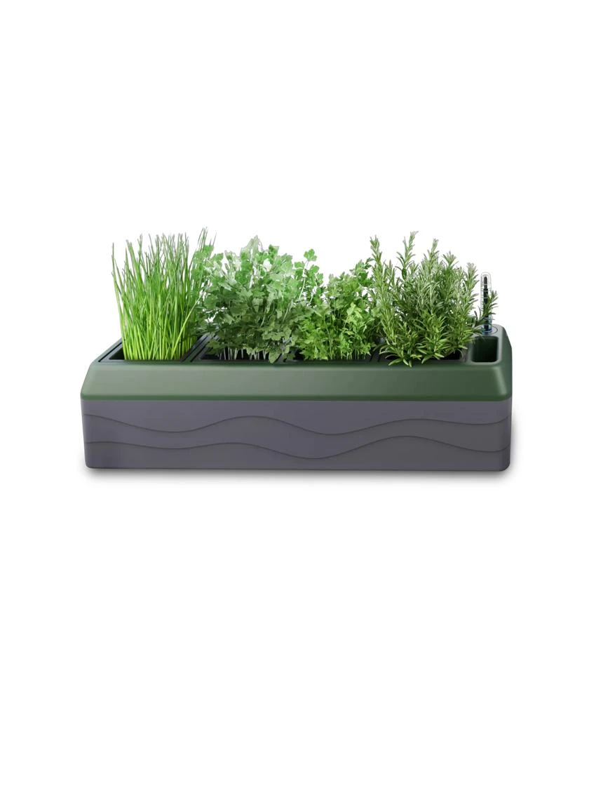 Provence Self-Watering Herb Planter - Image 6