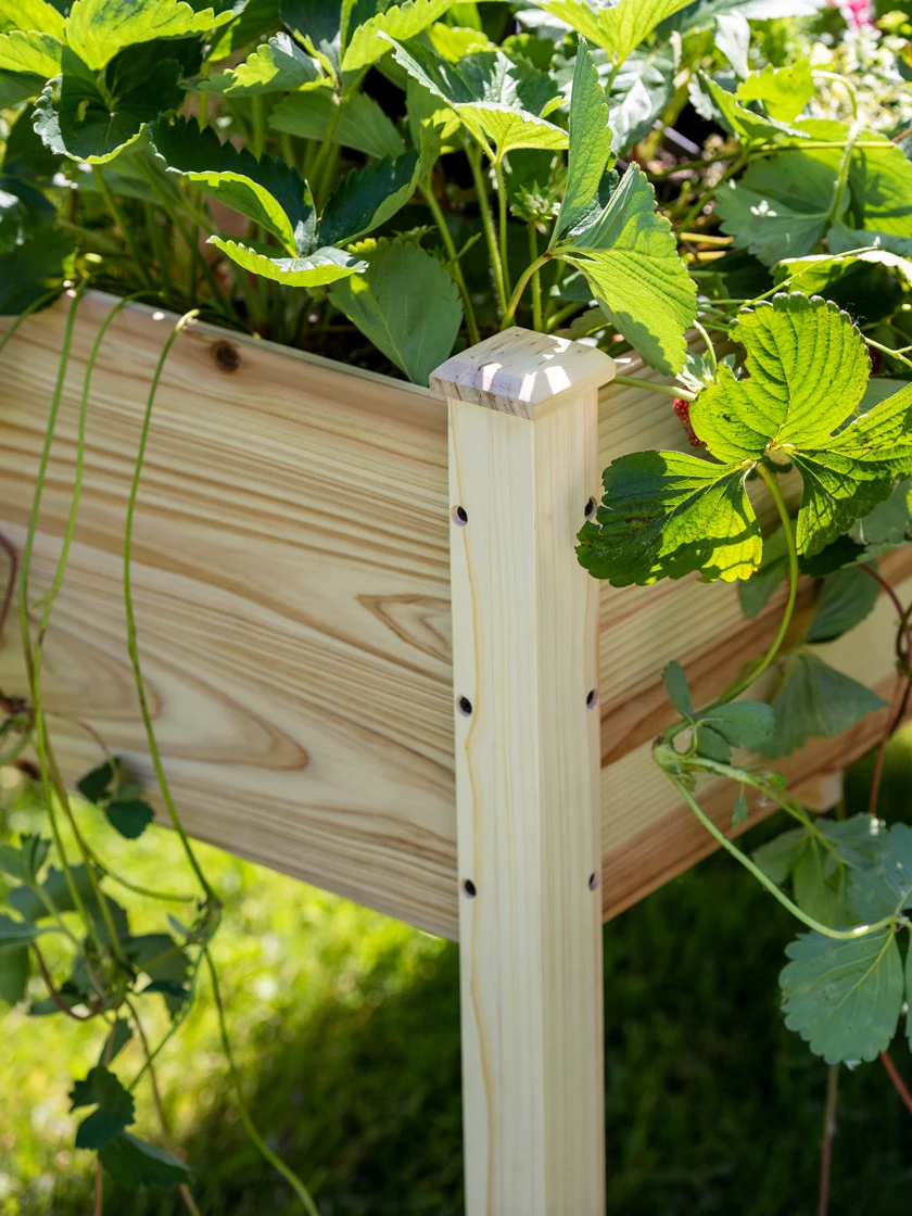 Standing Garden Bed - Image 3